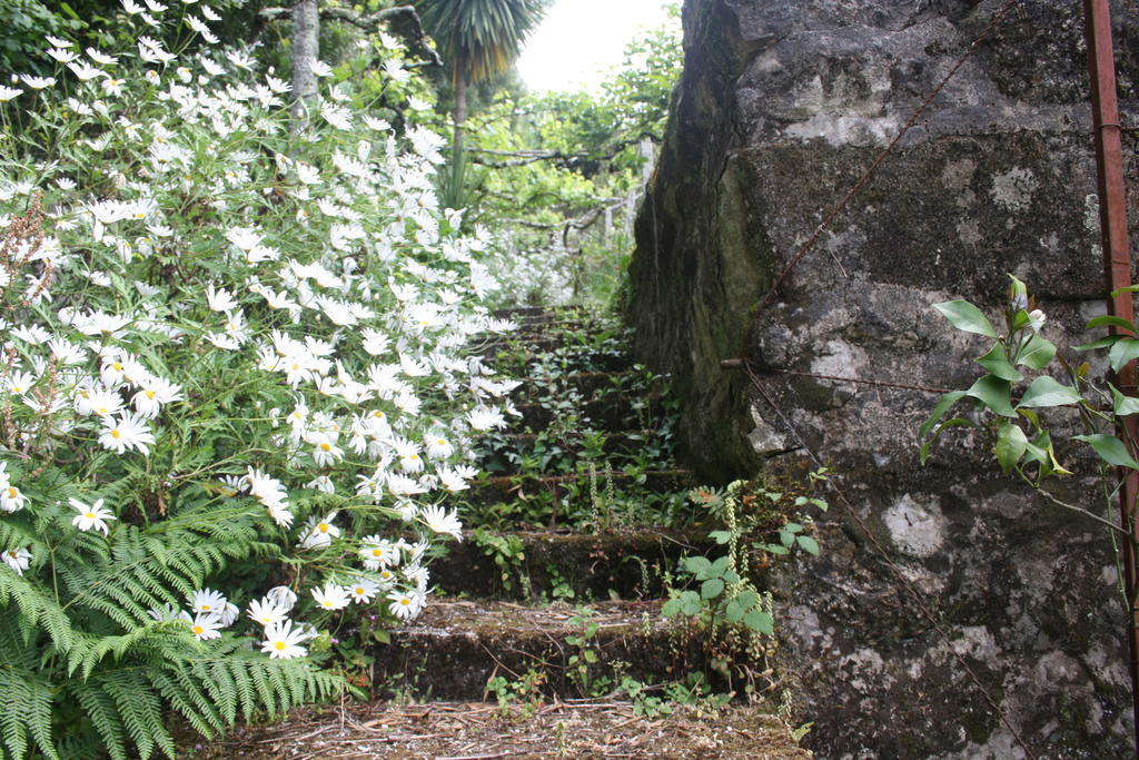 Quinta Das Leiras Santo Tirso Extérieur photo