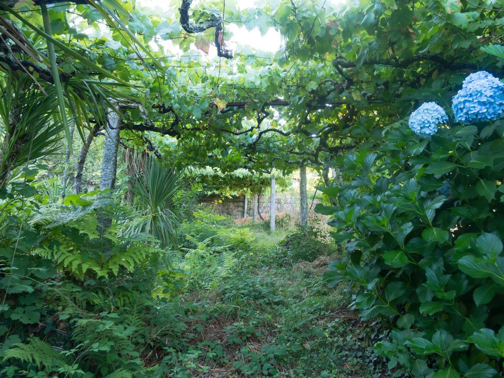 Quinta Das Leiras Santo Tirso Extérieur photo