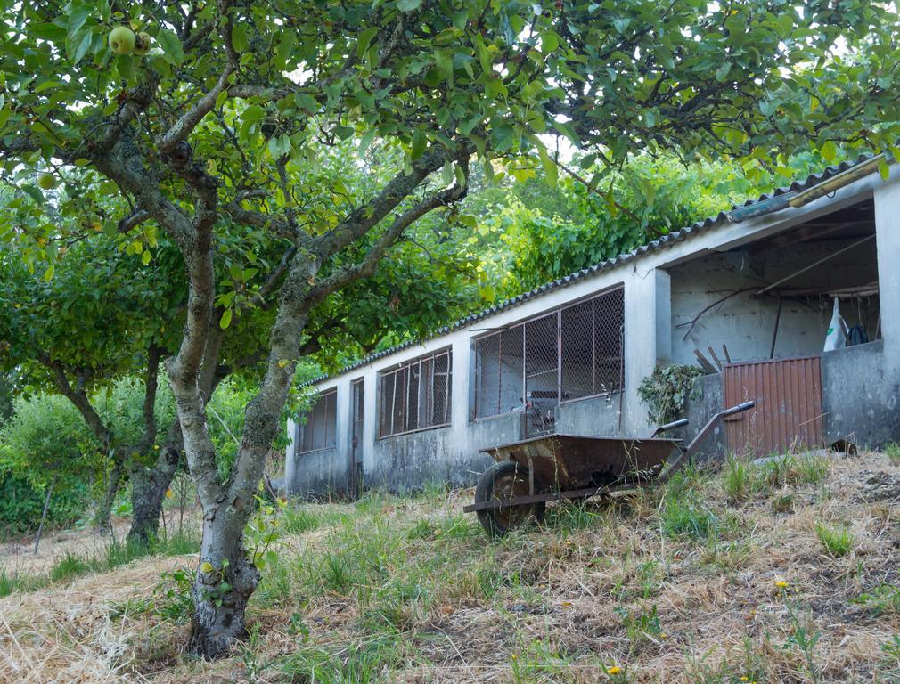 Quinta Das Leiras Santo Tirso Extérieur photo