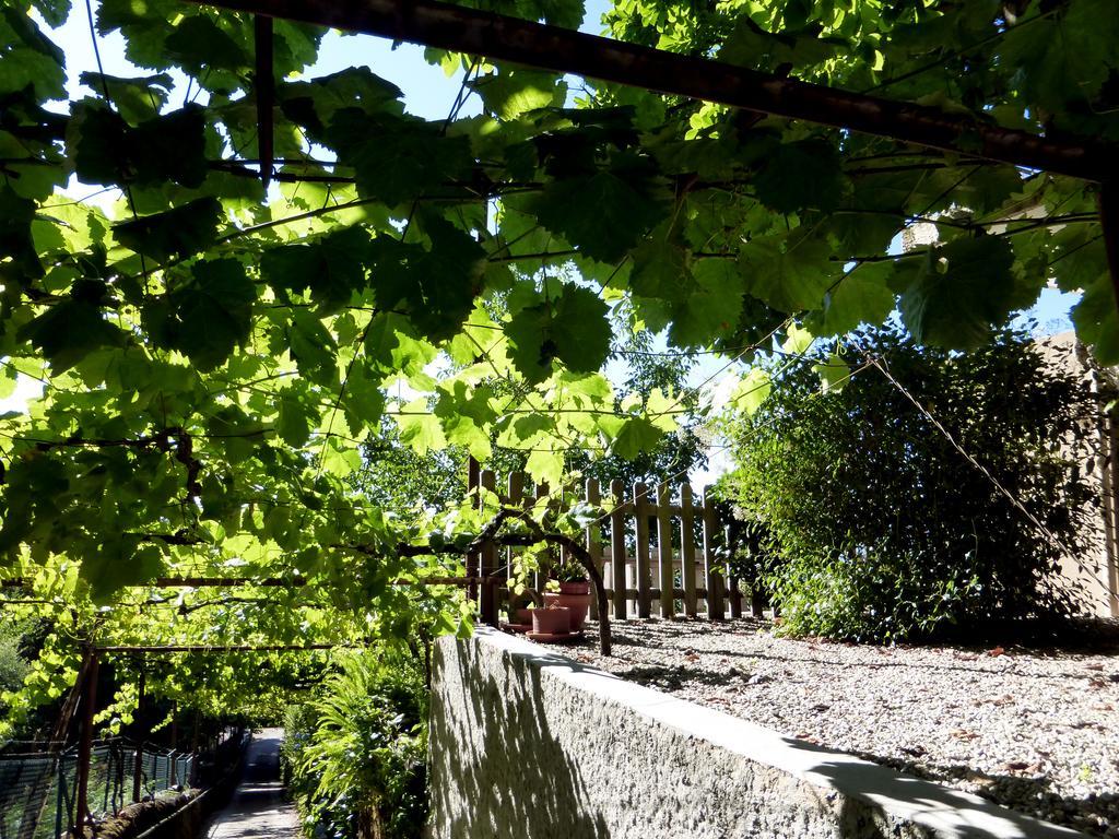 Quinta Das Leiras Santo Tirso Extérieur photo